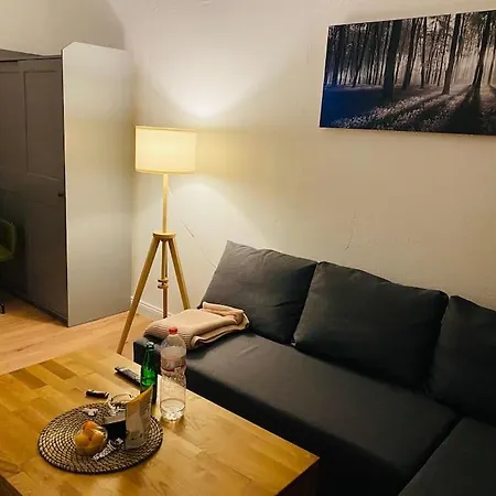 Big, Bright And Cozy Apartment, 15 Min To Center. 아파트 *